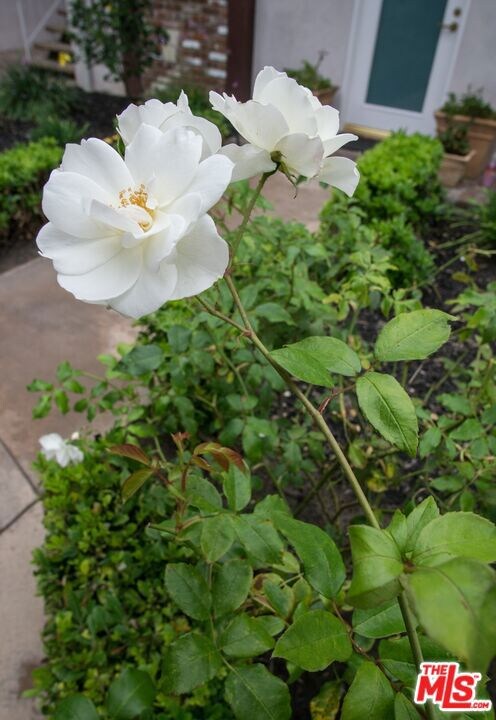 8130 Redlands St unit 15, Playa Del Rey, CA 90293 - photo 3