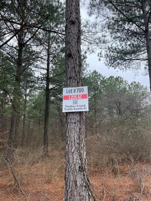 700 Timber Creek Trails South XI, Broken Bow, OK 74728 - photo 5