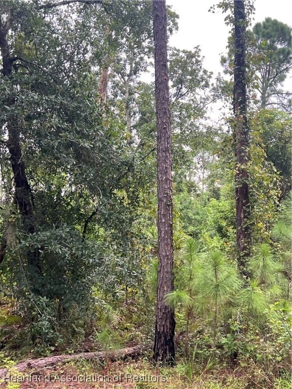 4415 Gerona Ave, Sebring, FL 33872 - photo 2