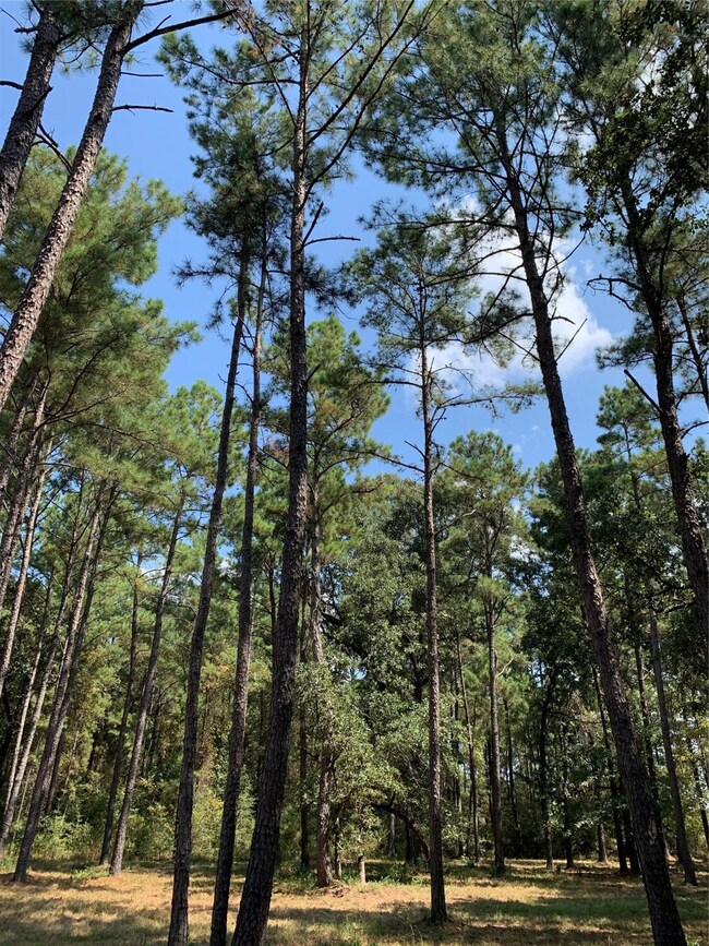 25692 Joseph Rd, Hockley, TX 77447 - photo 4