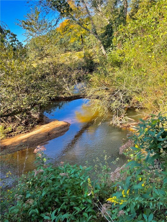 00 Tree Farm Rd, Walhalla, SC 29691 - photo 4