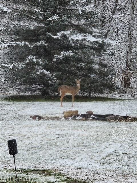 3148 Hogback Rd, Fowlerville, MI 48836 - photo 4