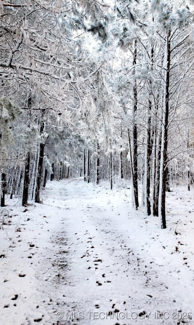 49536 State Highway 82, Talihina, OK 74571 - photo 6