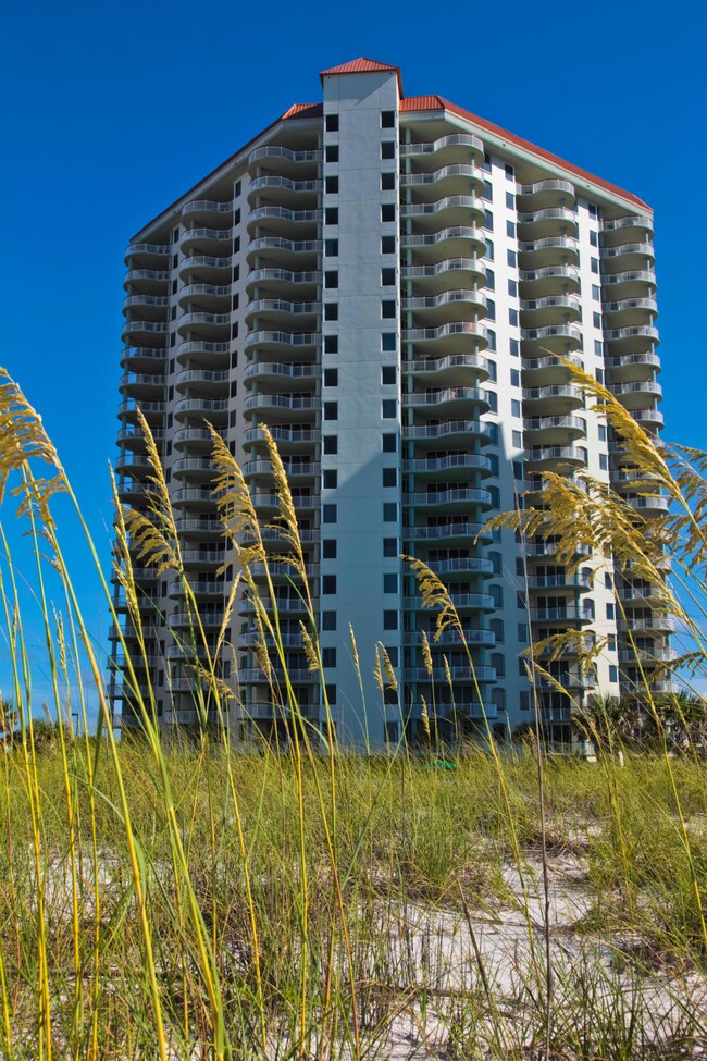 Beach Colony Of Navarre 2 237