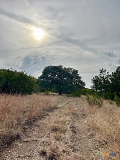 Unassigned County Road 3270, Kempner, TX 76539 - photo 2