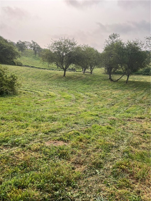 pastoral setting