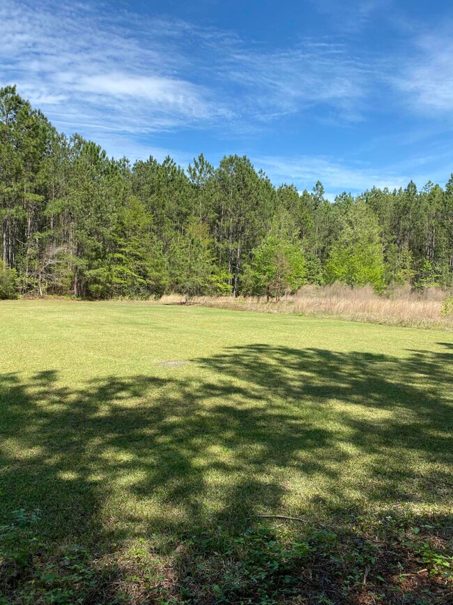 View into lot 53 Austin