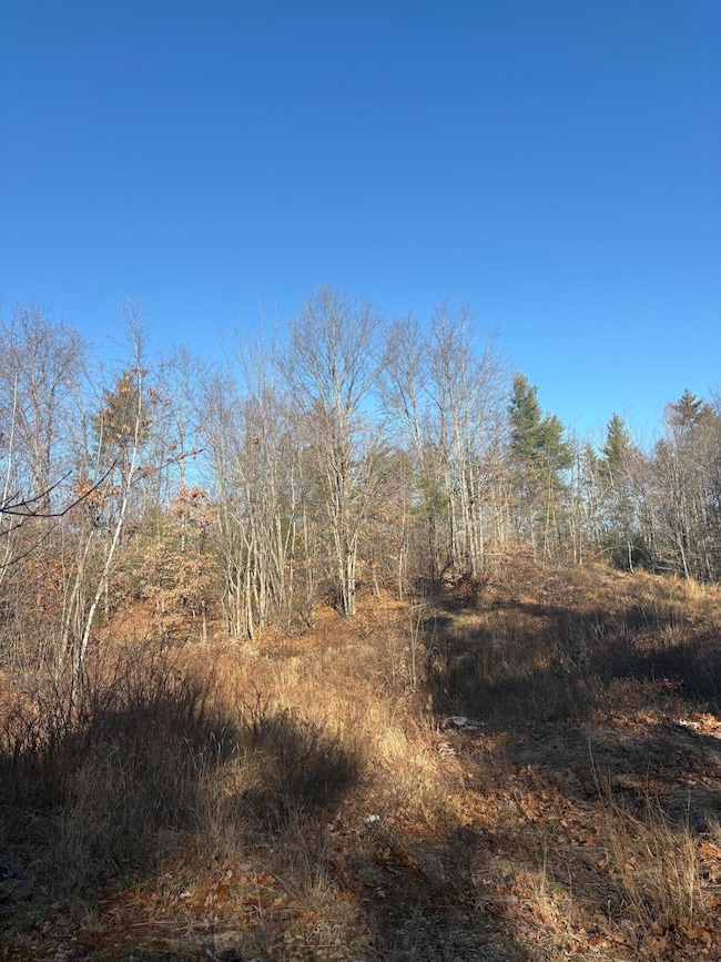 4 Baldwin Rd, Sebago, ME 04029 - photo 5