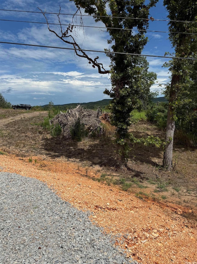 12950 Highway 5, Norfork, AR 72658 - photo 7