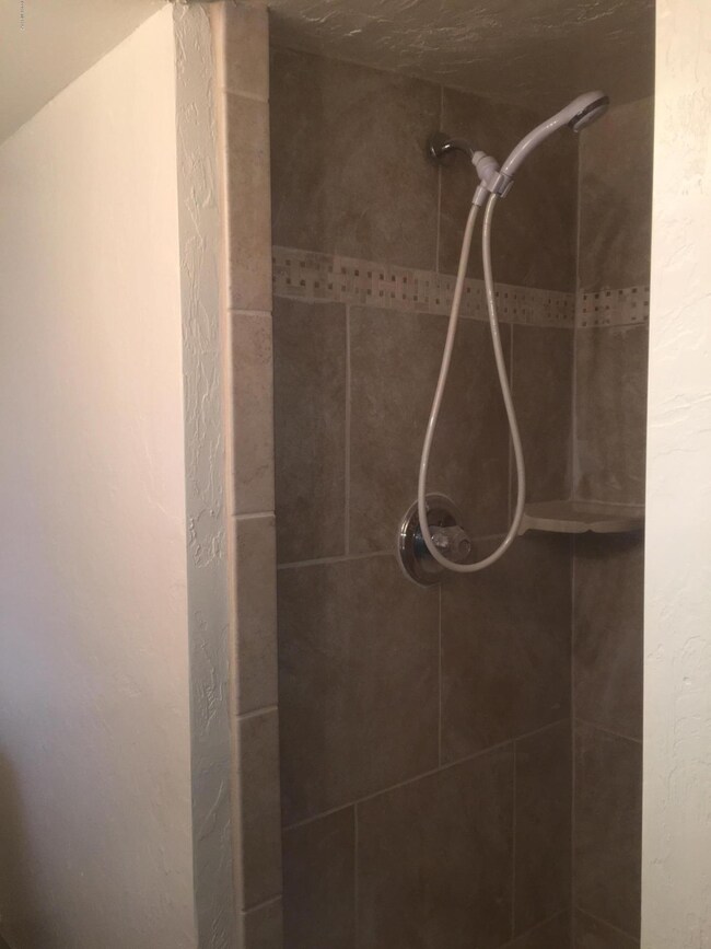 MasterShower