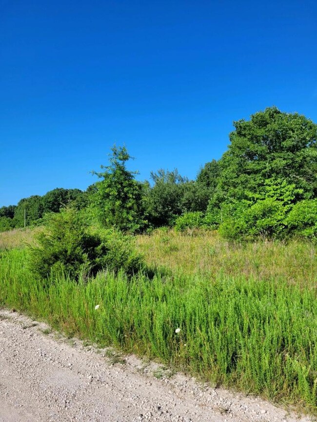 28 Kelemen Farms W, Big River Township, MO 63023 - photo 2