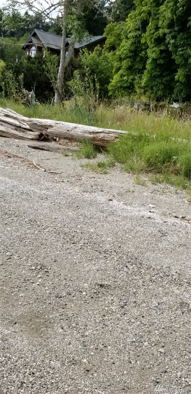 8902 Villa Beach Rd unit AI, Anderson Island, WA 98303 - photo 5