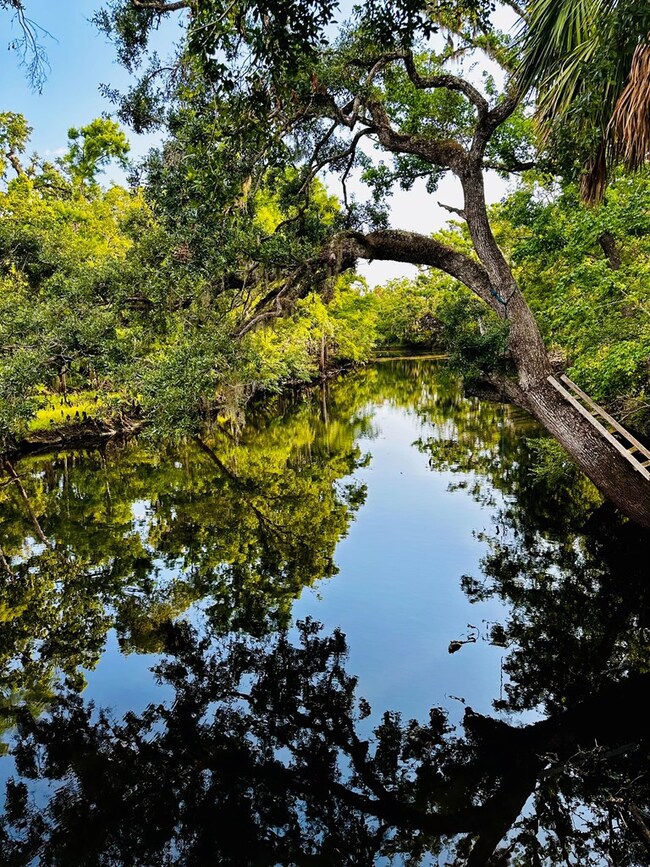 1960 River Rd NE, Steinhatchee, FL 32359 - photo 4