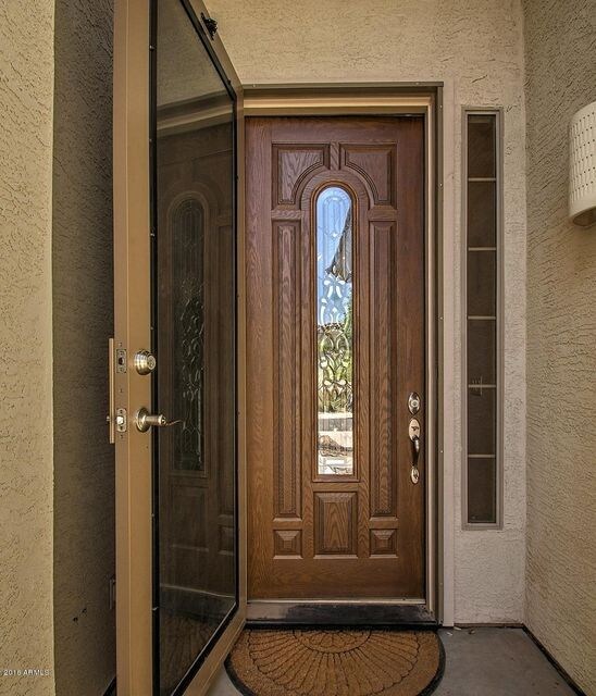 Augusta custom security door