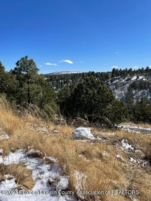 L1 High Ridge Trail, Alto, NM 88312 - photo 3