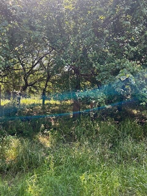 7311 Cortez Trail, Horseshoe Bend, TX 76087 - photo 3