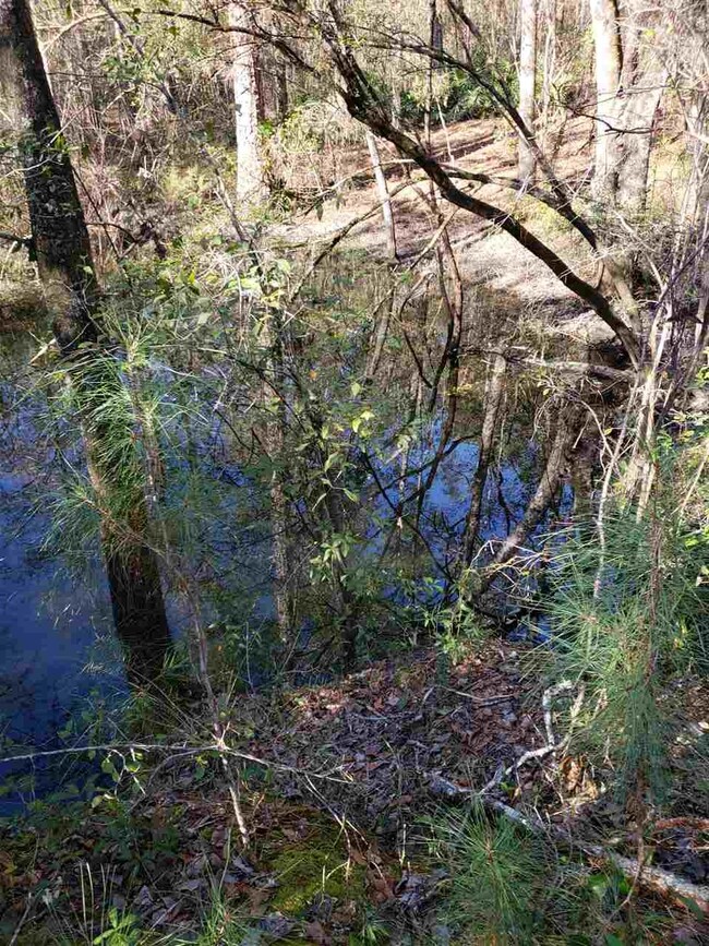 0 Decey Wallace Ln unit 301709, Crawfordville, FL 32327 - photo 7