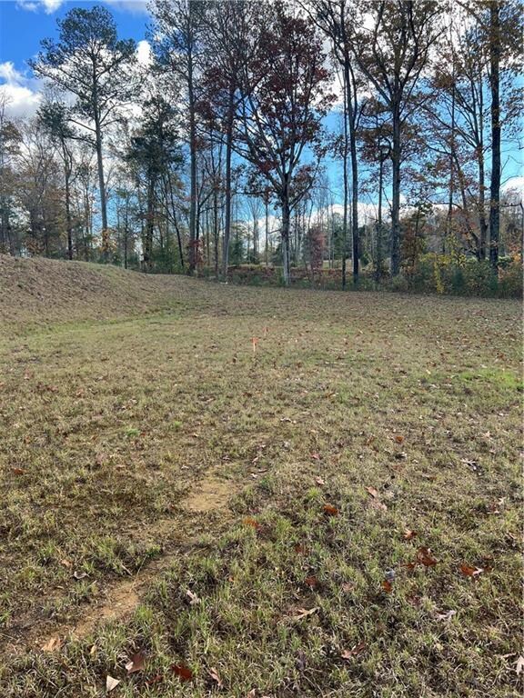 1004 Crossroads Trail, Milton, GA 30004 - photo 6