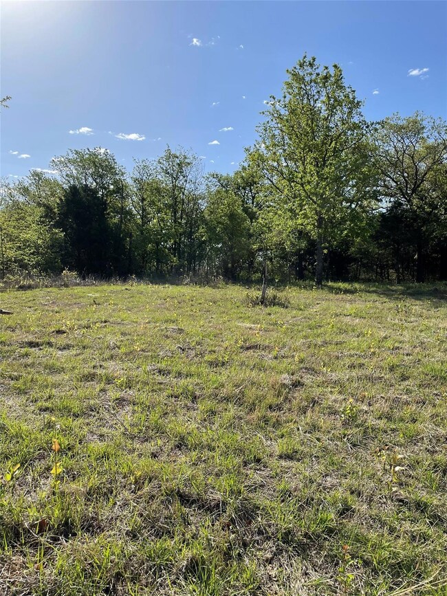 456 Cr 3791 Rd, Paradise, TX 76073 - photo 2
