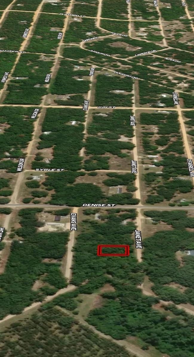 LOT 3 Janet Ave, Interlachen, FL 32148 - photo 2