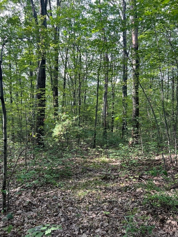 LOT 7 Southbridge Rd, Warren, MA 01083 - photo 3