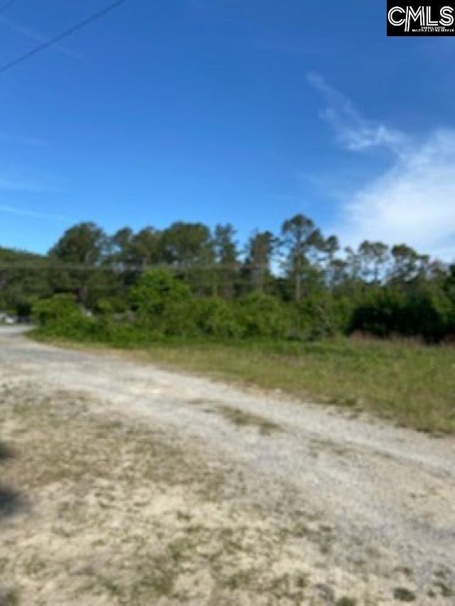 5314 Highway 321, Gaston, SC 29053 - photo 3