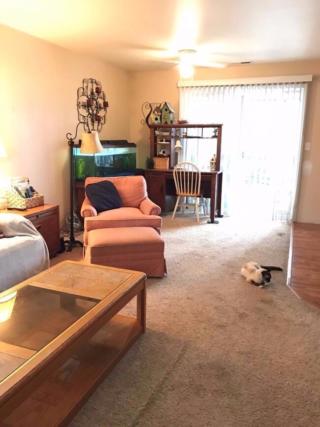 568 Village Dr unit 24, Central Point, OR 97502 - photo 7