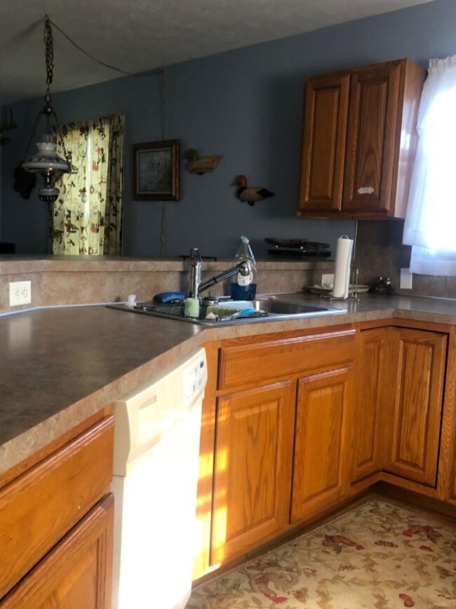 11098 N Harrison Ave, Bitely, MI 49309 - photo 3