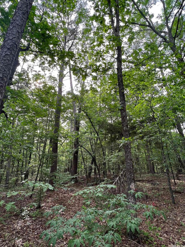 0 Stoney Point Rd, Heber Springs, AR 72543 - photo 7