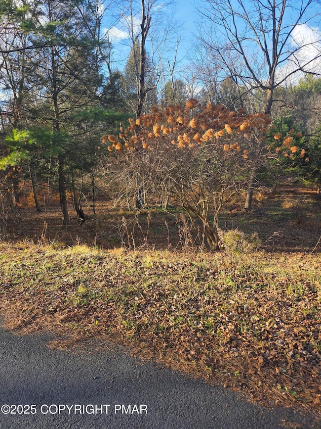 Lot 25 Pinewood Dr S, Middle Smithfield Township, PA 18302 - photo 4