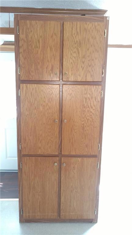 Nice pantry space in kitchen