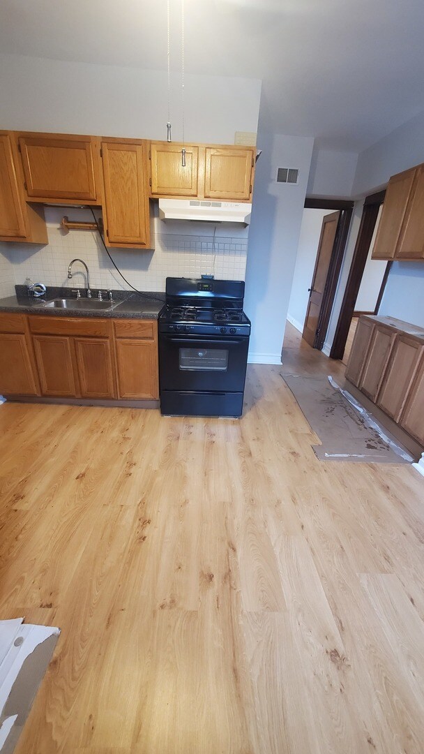 1048 N Leavitt St unit 2, Chicago, IL 60622 - photo 3