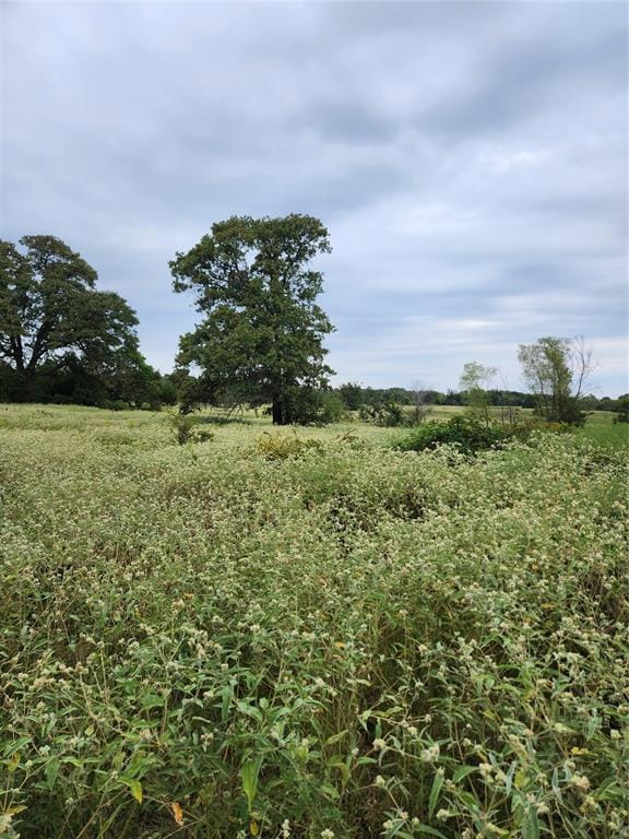 View of nature featuring a rural view