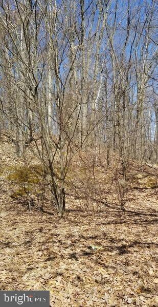 23A N Hunter Hwy, Drums, PA 18222 - photo 6