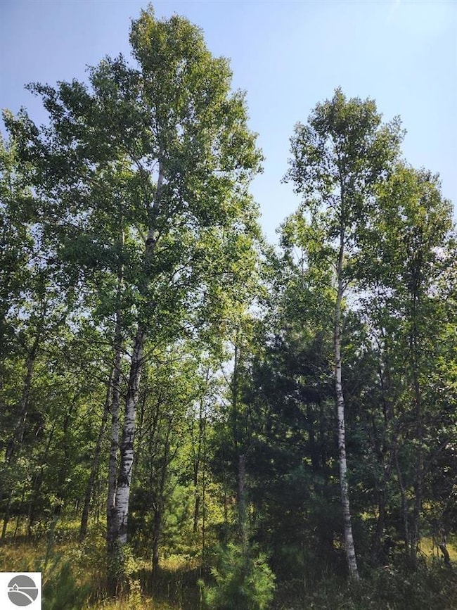 VL Snowridge Trail, Elmira, MI 49730 - photo 4