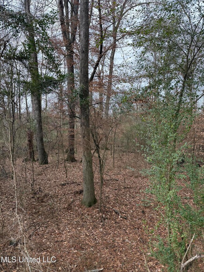 01 N Jordan St, Carthage, MS 39051 - photo 7