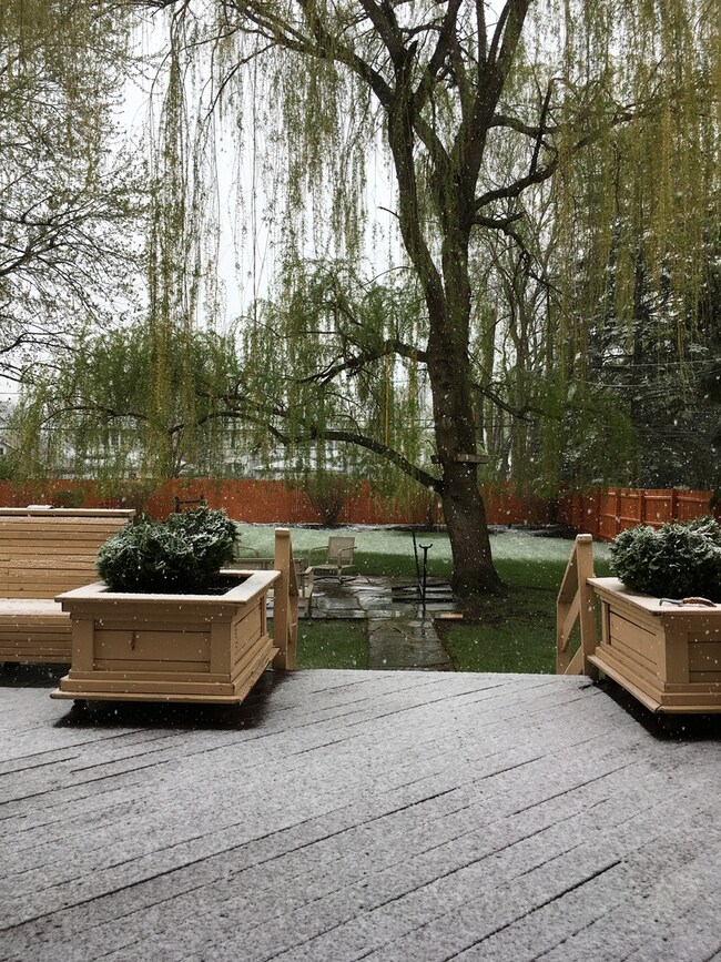 1665 Wicke Ave, Des Plaines, IL 60018 - photo 2