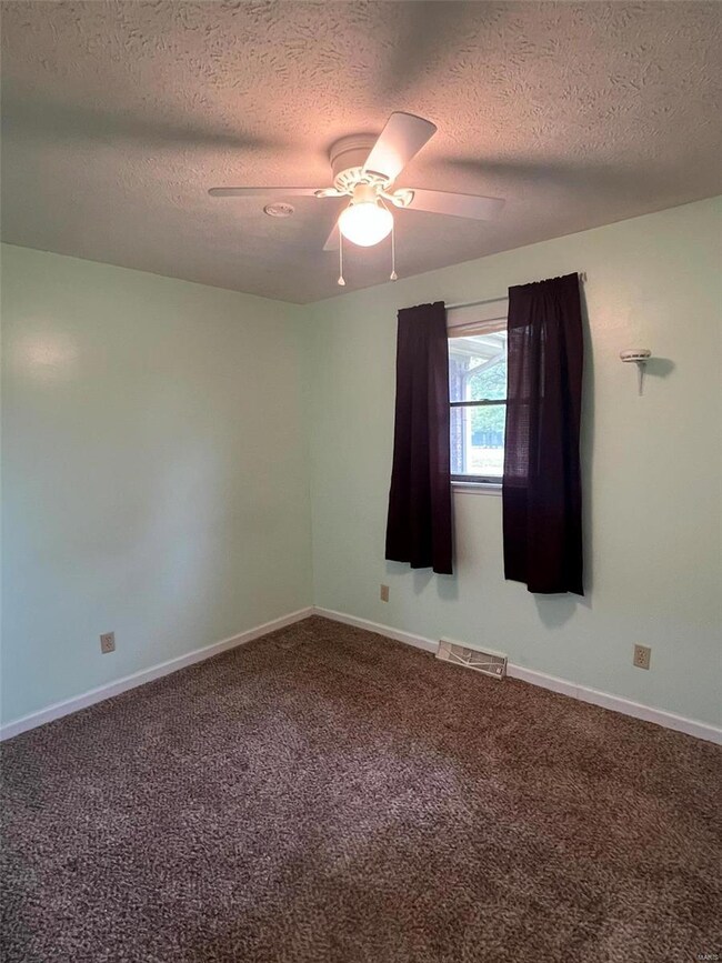 20055 Highway 28, Dixon, MO 65459 - photo 7