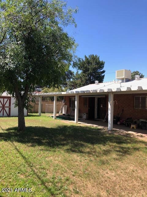 Back yard patio _ shed