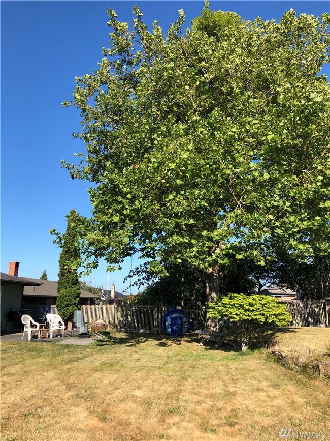 851 E Belfield Ave, Sequim, WA 98382 - photo 4