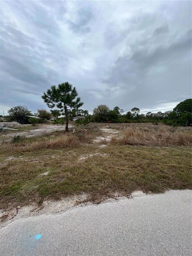 768 Bianca Ave, Lehigh Acres, FL 33974 - photo 4