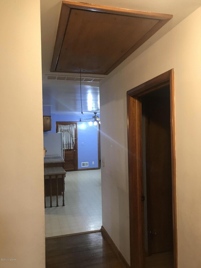 Pic 5