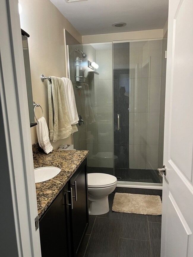 2247 W Thomas St unit 1F, Chicago, IL 60622 - photo 5