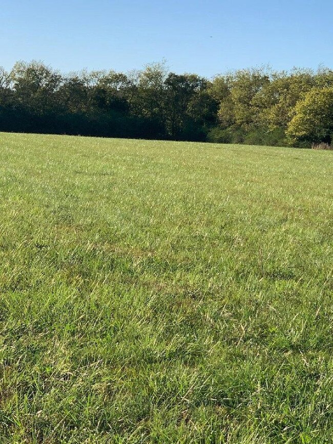 New picture added after hay cut in July /August 2020
