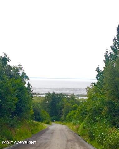 4050 Virgo Ave, Anchorage, AK 99516 - photo 7