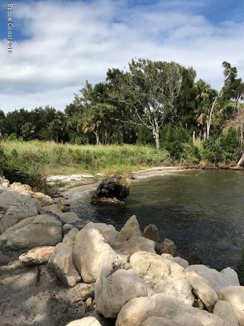 River bank 2