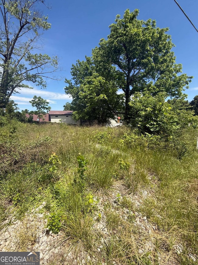 LT 19 E 2nd St, Blue Ridge, GA 30513 - photo 7