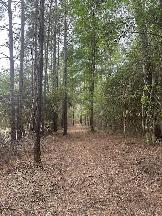 0 Cr 3114 unit 262737, Buna, TX 77612 - photo 2