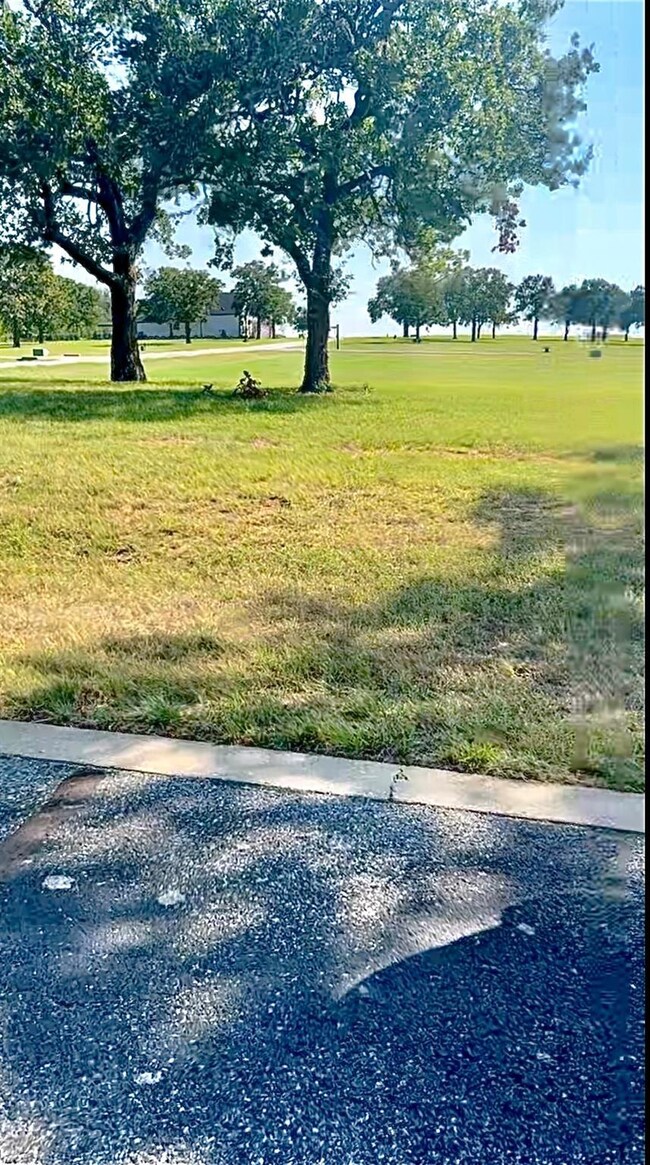 Lot 39C Pronghorn Dr, Gordonville, TX 76245 - photo 3