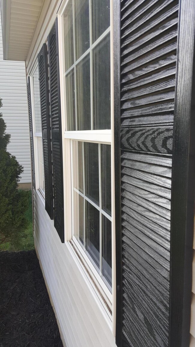 shutters